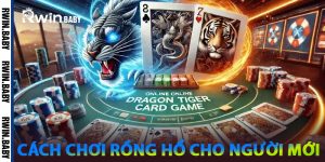 Cách chơi Rồng Hổ cho người mới